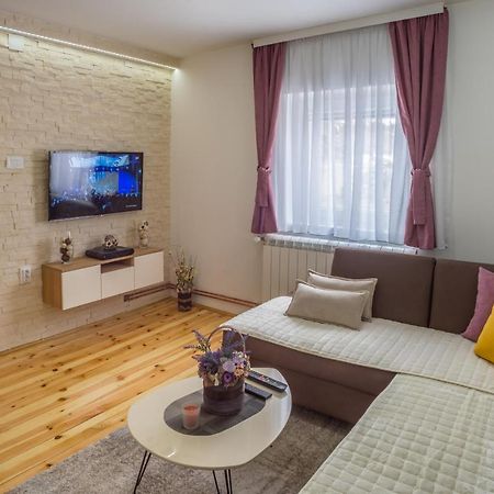 Vojinovic Apartman Жабляк Экстерьер фото